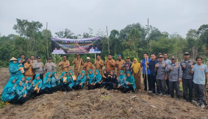 Polsek Penukal Abab Dukung Program Ketahanan Pangan, Dampingi Penanaman Jagung di Desa Spantan Jaya