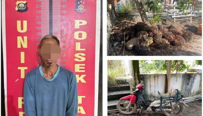 Unit Reskrim Polsek Talang Ubi Berhasil Tangkap Pelaku Pencurian Sawit di Perkebunan PT. Suryabumi Agrolanggeng