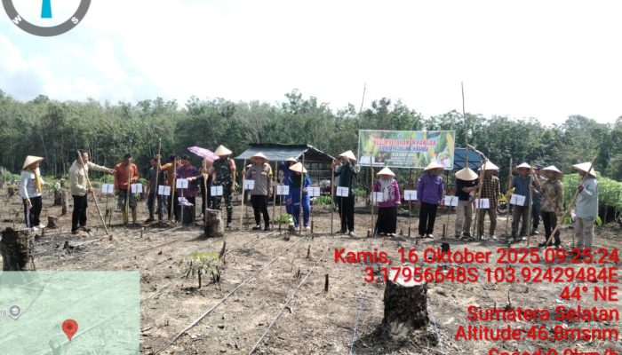 POLSEK PENUKAL UTARA DUKUNG PROGRAM KETAHANAN PANGAN MELALUI PENANAMAN JAGUNG DI DESA SUKARAMI