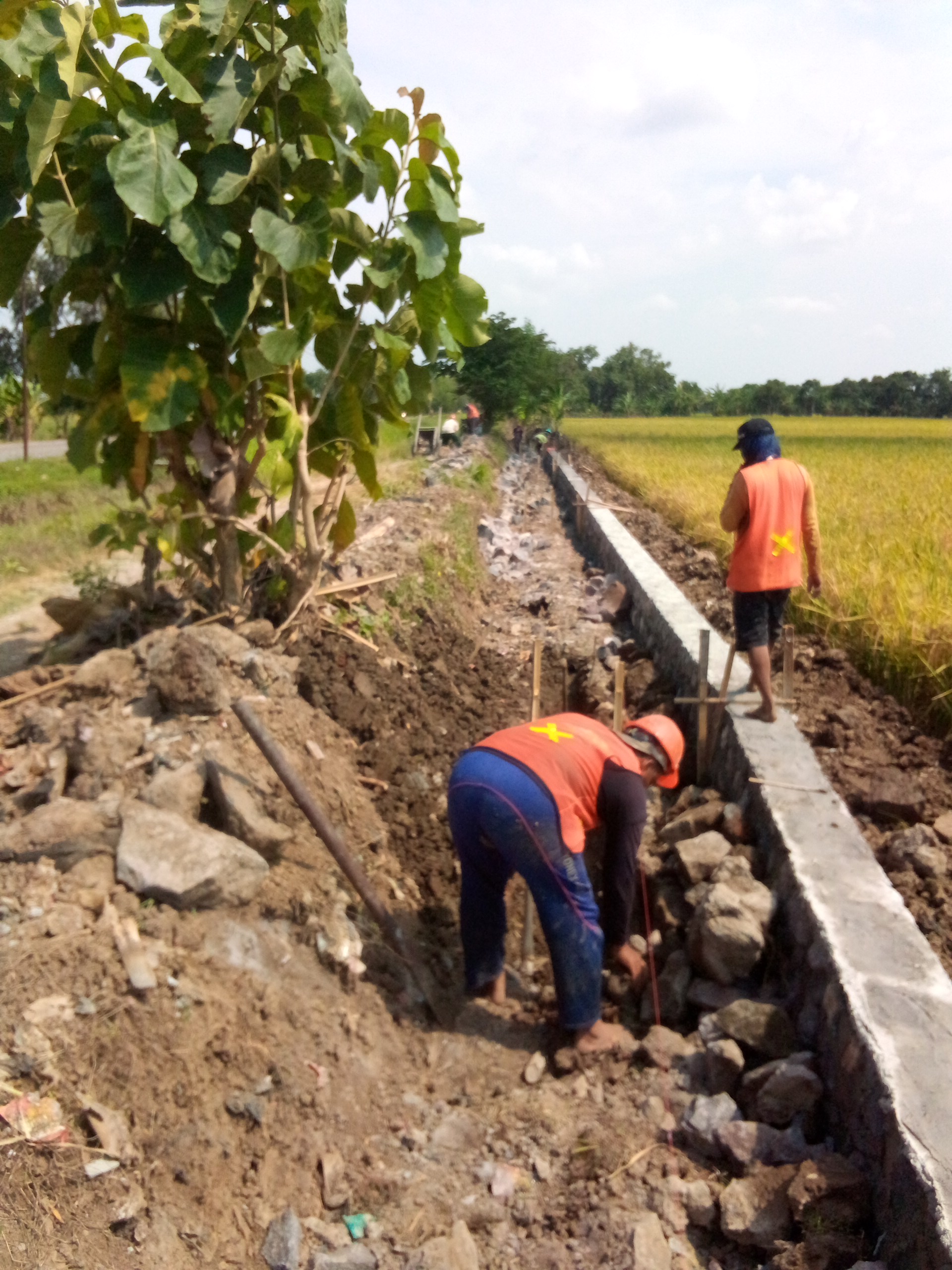 Diduga Proyek SPAL di Desa Tambi Lor Gelap Informasi, Warga Pertanyakan Transparansi