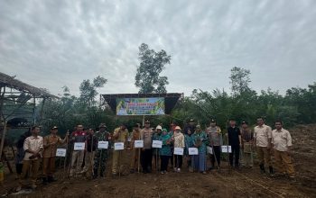 Polsek Penukal Utara Dukung Program Ketahanan Pangan Melalui Penanaman Jagung di Desa Tambak