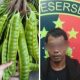 Gara-gara Petai, Pria di Muba Ditembak Mati Pemilik Kebun