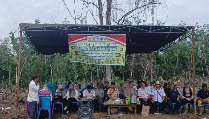 Polsek Talang Ubi Dukung Program Ketahanan Pangan Melalui Penanaman Jagung Hibrida di Desa Karta Dewa