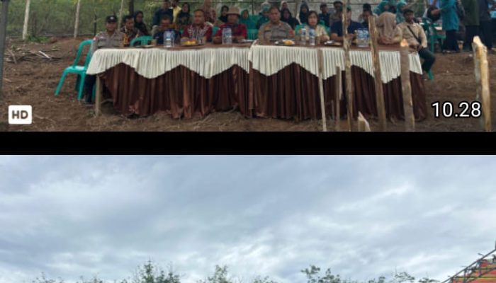 Polsek Talang Ubi Dukung Program Ketahanan Pangan, Gelar Penanaman Jagung di Desa Benakat Minyak