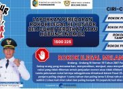 DBHCHT 2025, Dorong Kesejahteraan dan Perangi Rokok Ilegal di Tulungagung