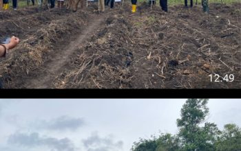 Polsek Talang Ubi Dukung Program Ketahanan Pangan, Tanam Jagung di Desa Sinar Dewa