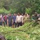 Polres Tanah Karo Bongkar Ladang Ganja di Perbukitan Pancur Batu, 400 Batang Tanaman Dimusnahkan