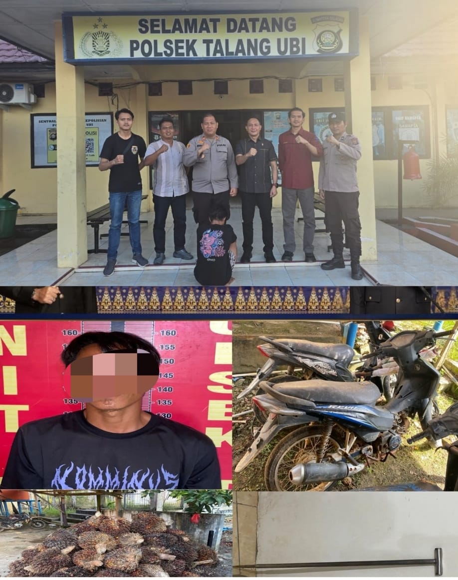 Satreskrim Polres PALI Berhasil Ungkap TO Operasi Sikat II Musi 2025, Pelaku Curas Sawit Ditangkap di Muara Enim