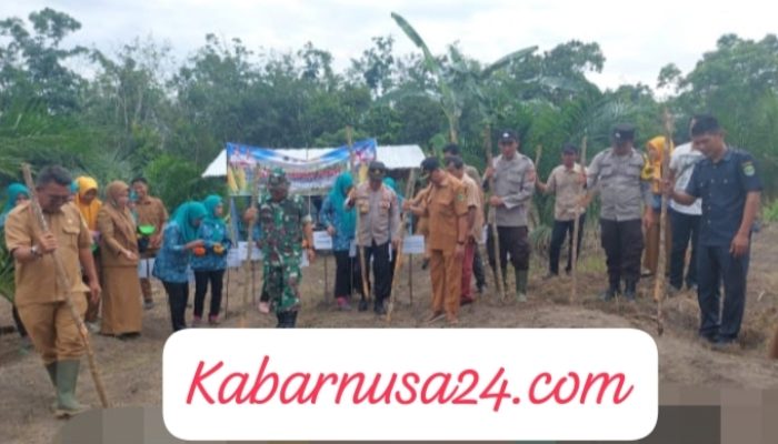 Polsek Penukal Abab dan Pemerintah Desa Sungai Langan Gelar Penanaman Jagung di Lahan Pertanian Seluas 1 Hektar
