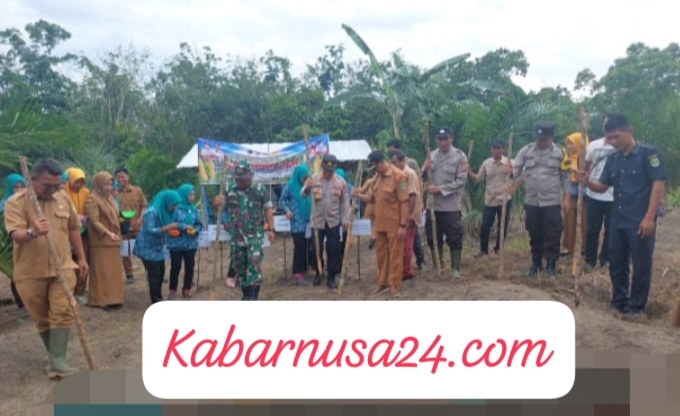 Polsek Penukal Abab dan Pemerintah Desa Sungai Langan Gelar Penanaman Jagung di Lahan Pertanian Seluas 1 Hektar