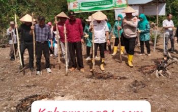 Penanaman Jagung di Desa Talang Akar Didukung Penuh Polri: Wujud Sinergi untuk Ketahanan Pangan