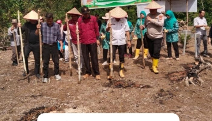 Penanaman Jagung di Desa Talang Akar Didukung Penuh Polri: Wujud Sinergi untuk Ketahanan Pangan