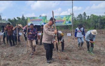 POLSEK PENUKAL UTARA DUKUNG PROGRAM SWASEMBADA PANGAN MELALUI PENANAMAN JAGUNG DI DESA KOTA BARU