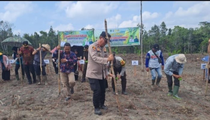 POLSEK PENUKAL UTARA DUKUNG PROGRAM SWASEMBADA PANGAN MELALUI PENANAMAN JAGUNG DI DESA KOTA BARU