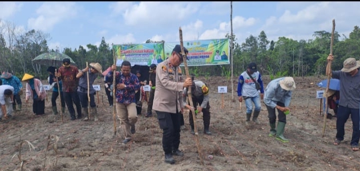 POLSEK PENUKAL UTARA DUKUNG PROGRAM SWASEMBADA PANGAN MELALUI PENANAMAN JAGUNG DI DESA KOTA BARU
