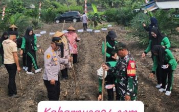 Polsek Penukal Abab Dukung Program Swasembada Pangan Lewat Penanaman Jagung di Desa Purun Timur