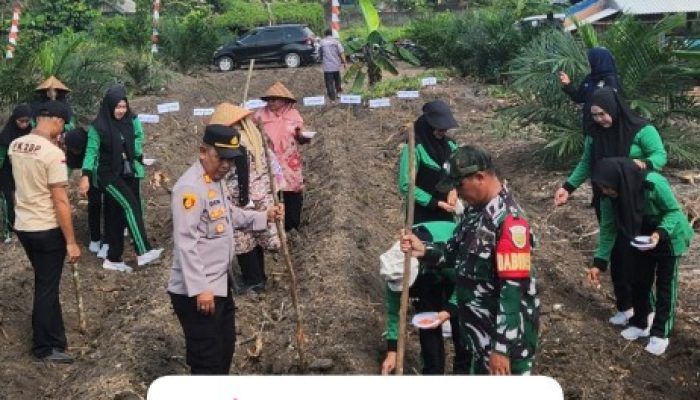 Polsek Penukal Abab Dukung Program Swasembada Pangan Lewat Penanaman Jagung di Desa Purun Timur