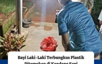*Polisi Selidiki Penemuan Bayi  Tanpa  Busana Di  Desa Bojong Barat