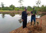 Terobosan Baru BUMDes Ujungpendok Jaya Ubah Lahan Titisara Tidak Produktif Menjadi Empang Produktif
