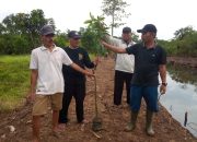 BUMDes Ujungpendok Jaya Manfaatkan Tanah Titisara Tidak Produktif untuk Empang Ikan dan Tanaman Buah