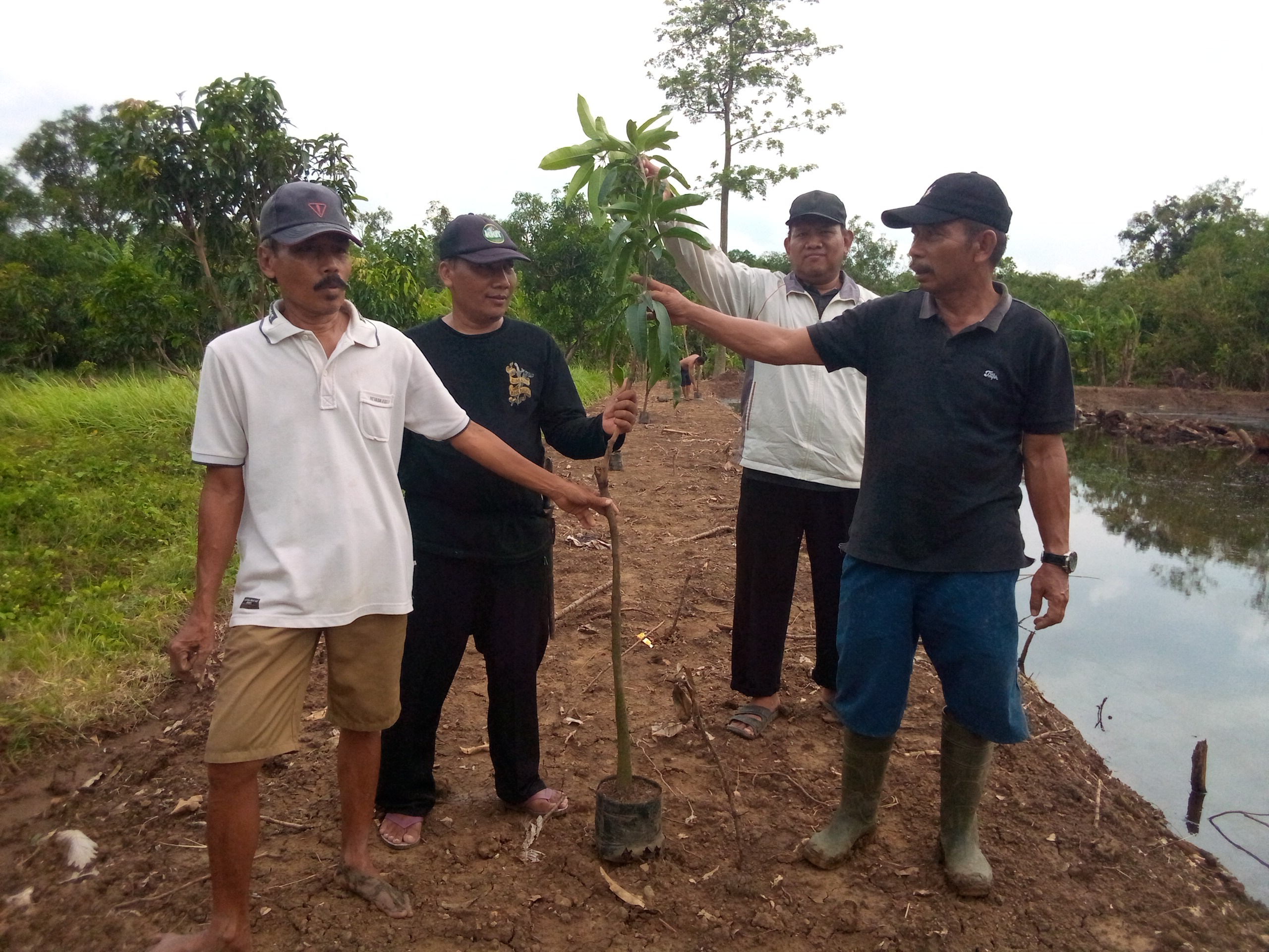 BUMDes Ujungpendok Jaya Manfaatkan Tanah Titisara Tidak Produktif untuk Empang Ikan dan Tanaman Buah
