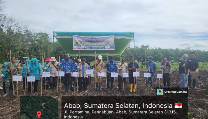 SELURUH DESA DI KECAMATAN PENUKAL ABAB RAMPUNG TANAM JAGUNG, POLRI PERKETAT PENGAWASAN DANA DESA