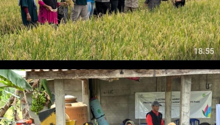 PANEN RAYA SMARTFARM ACADEMY DI DESA MUARA SUNGAI, DUKUNG PROGRAM KETAHANAN PANGAN NASIONAL