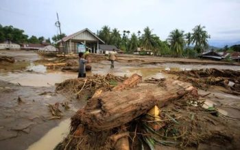 Terjadi Bencana Alam di Aceh-Sumatra, MUI Ajak Semua Elemen Masyarakat Gotong Royong Bantu Korban