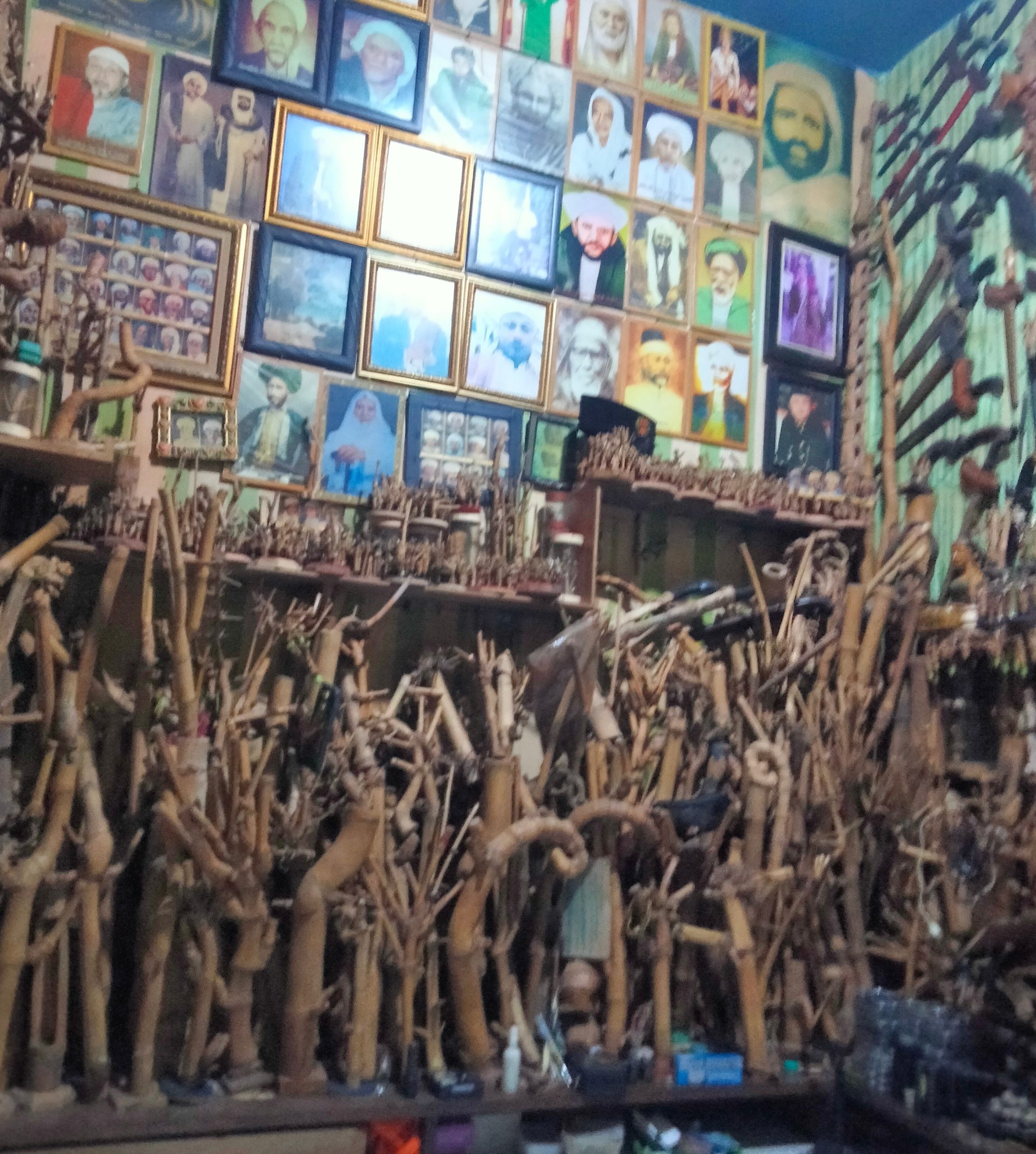 Ahmad AB Warga Pondok Labu Jaksel Koleksi Ratusan Jenis Bambu Unik Semua Ada Filosofinya