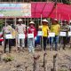 Dalam Rangka Mendukung Ketahanan Pangan Nasional, Pemerintah Desa Tanah Abang Selatan Gelar Tanam Jagung Hibrida