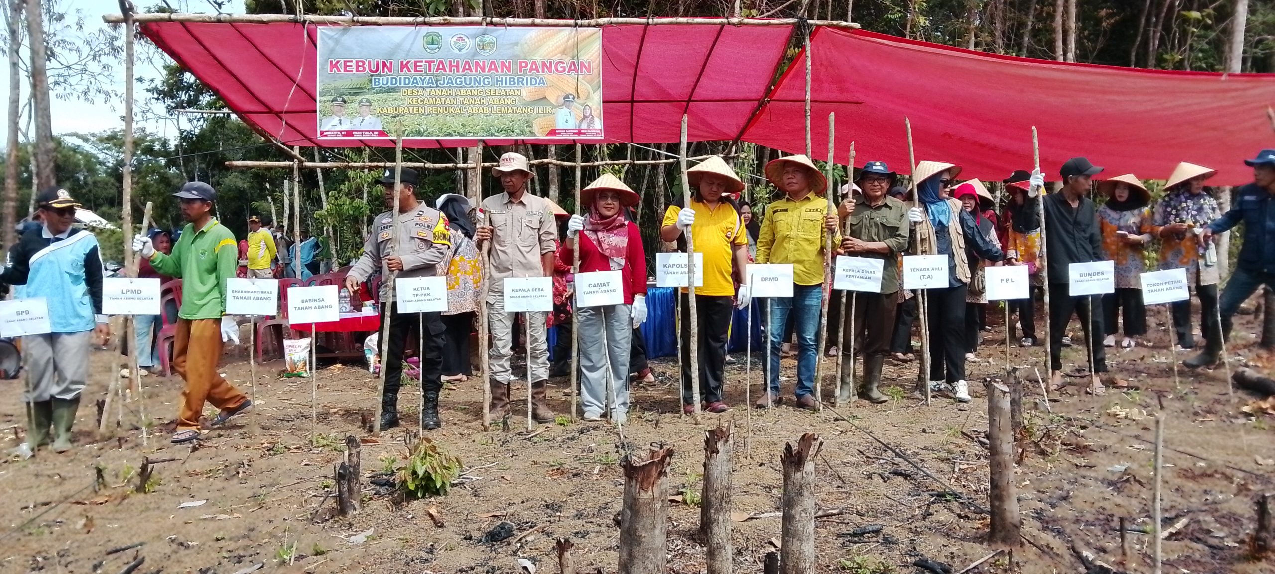 Dalam Rangka Mendukung Ketahanan Pangan Nasional, Pemerintah Desa Tanah Abang Selatan Gelar Tanam Jagung Hibrida
