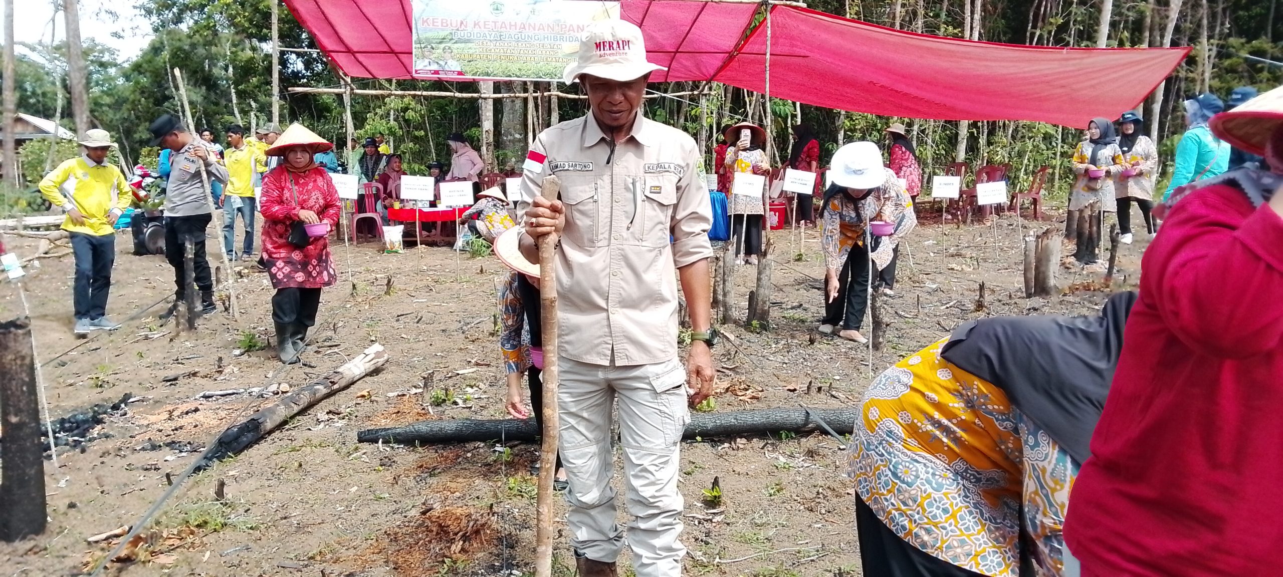 Dalam Rangka Mendukung Ketahanan Pangan Nasional, Pemerintah Desa Tanah Abang Selatan Gelar Tanam Jagung Hibrida