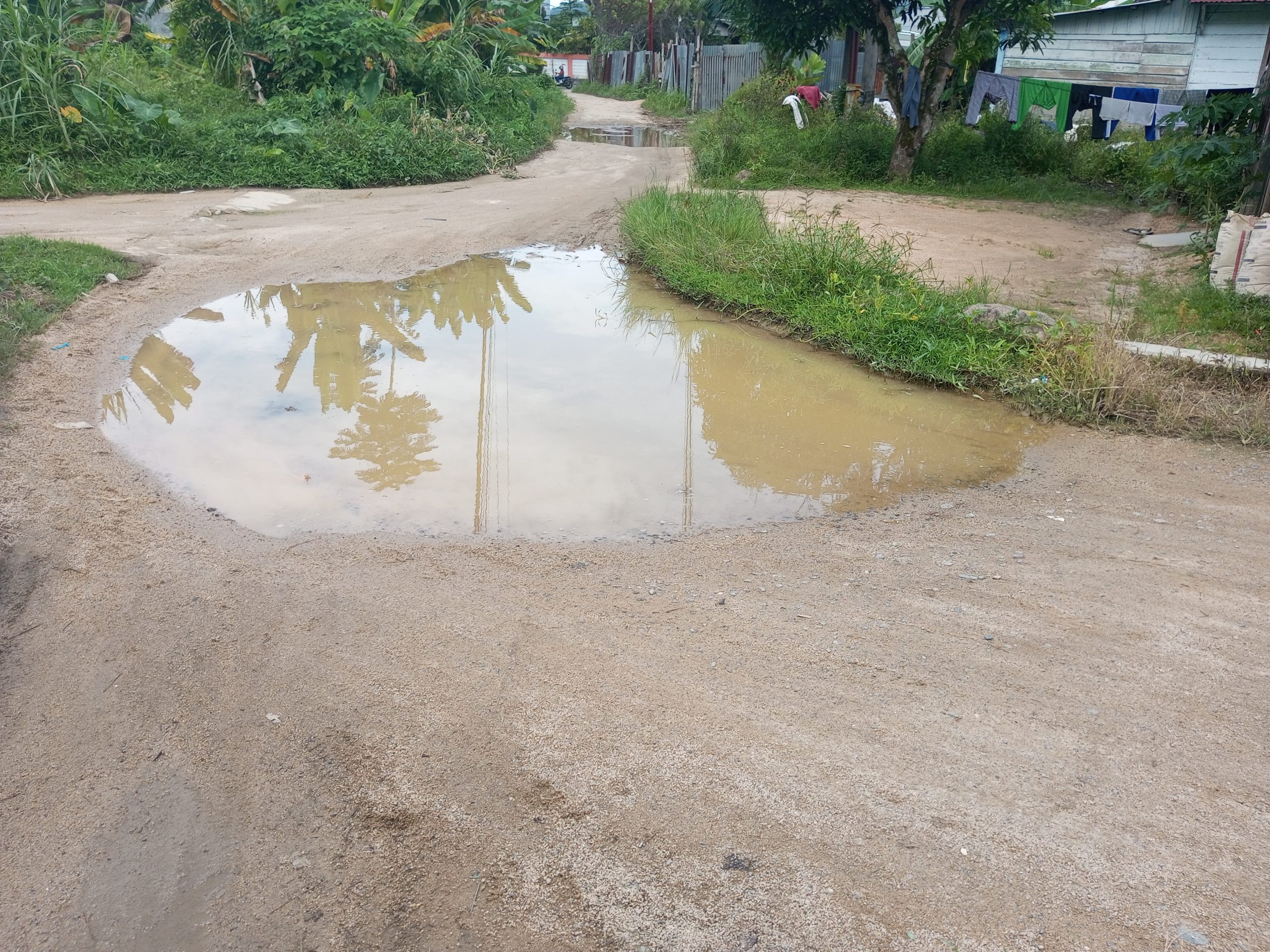 Warga Pondok Batu Usulkan Jalan Berlubang Dijadikan Kolam Lele, Minta Modal Usaha dan Keluhkan Bau Ikan Busuk dari Aktivitas Perusahaan