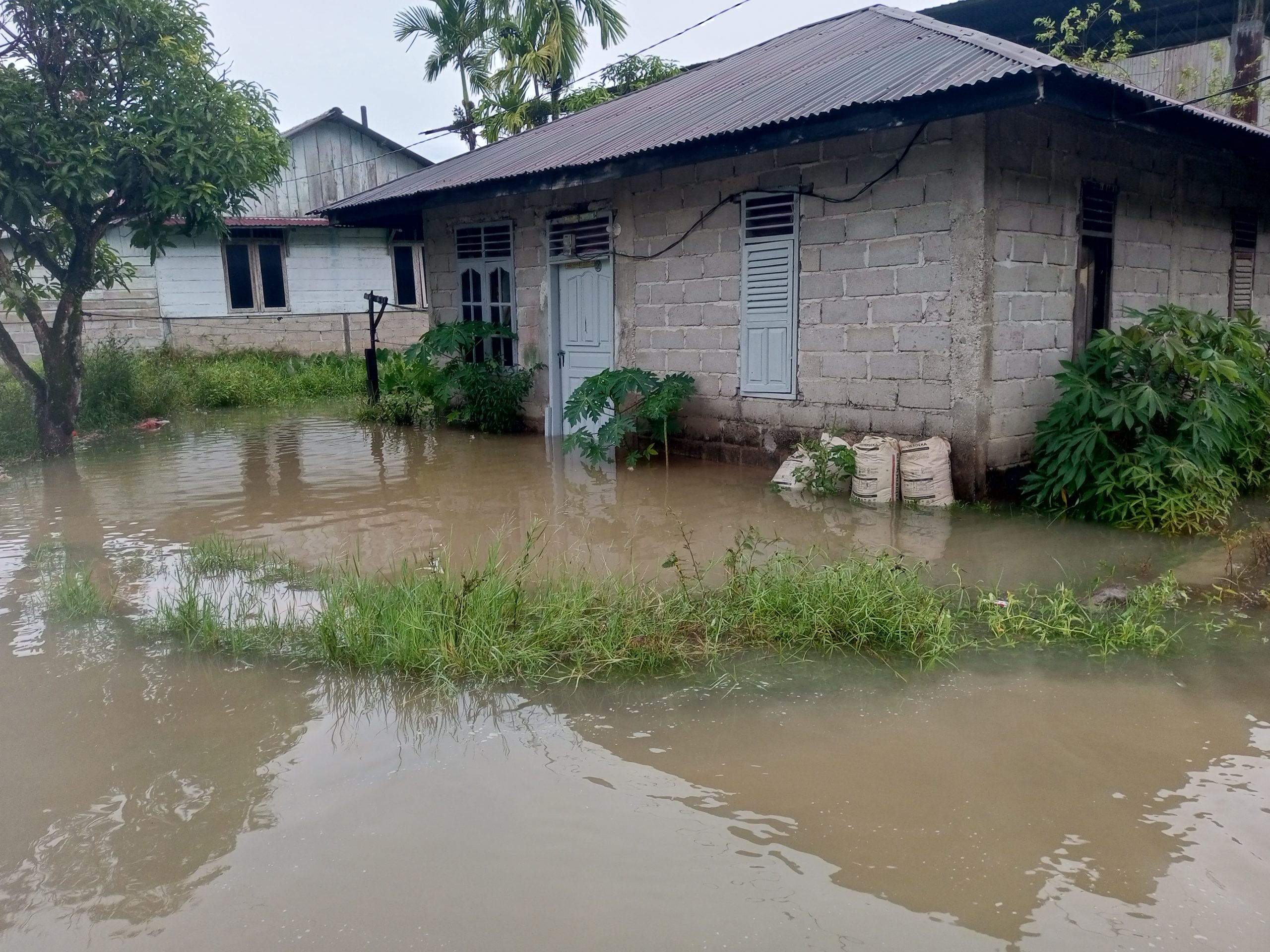 Hujan Sejak Senin Malam Sebabkan Banjir di Pondok Batu: Rumah Warga Terendam, Parit ke Laut Diduga Terlalu Kecil