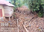BUPATI DINILAI ABAIKAN ANCAMAN BANJIR SUSULAN: WARGA HUTANABOLON PROTES KERAS, KAYU DI SALURAN AIR MALAH DISURUH DIOLAH