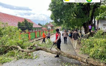Gerak Cepat, Pamapta Polres Lampung Utara  Gerak Cepat  Evakuasi Pohon Tumbang Di Jalan Stadion  Sukung