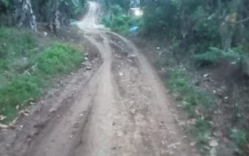 Warga  Dusun Way Rantang Pekon  Suka Mulya Kecamatan Lemong Perbaiki Jalan Rusak Secara Swadaya, Pemkab  Pusibar Di Mintak Turun Tangan
