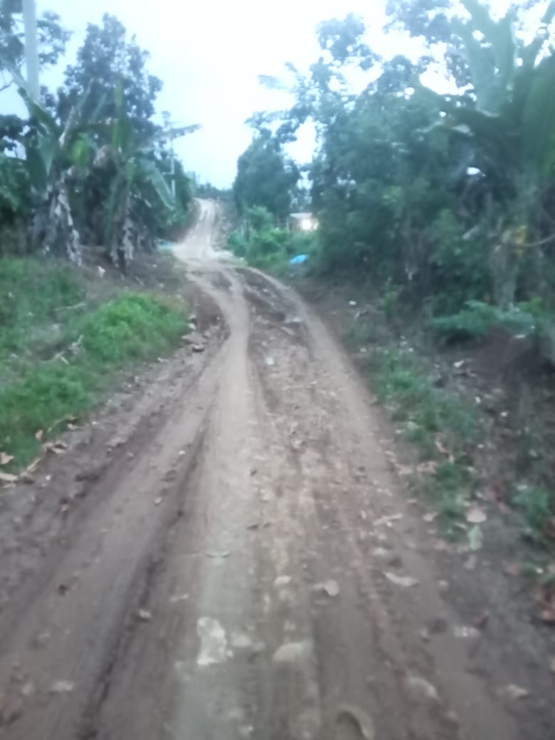 Warga Dusun Way Rantang Pekon Suka Mulya Kecamatan Lemong Perbaiki Jalan Rusak Secara Swadaya, Pemkab Pusibar Di Mintak Turun Tangan
