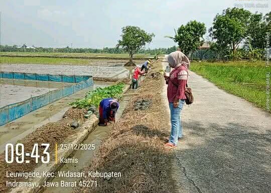 Gotong Royong Kuwu Evi Bersama Petani, Saluran Irigasi Desa Leuwigede Dibersihkan