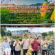 Panen Jagung Hibrida di Tanjung Dalam, Polsek Tanah Abang Tegaskan Komitmen Perkuat Ketahanan Pangan Nasional