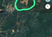 Banjir Bandang Tapanuli Tengah Diduga Kuat Akibat Perambahan Hutan: Warga Geram, Desak Pemerintah Bongkar Aktor Perusak Lingkungan