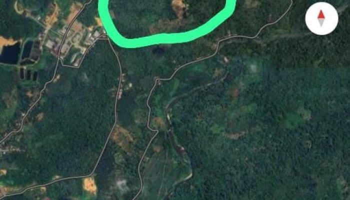 Banjir Bandang Tapanuli Tengah Diduga Kuat Akibat Perambahan Hutan: Warga Geram, Desak Pemerintah Bongkar Aktor Perusak Lingkungan