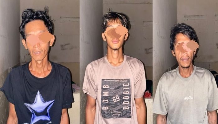 Tim Elang Polsek Talang Ubi Libas Sindikat Pencurian Sawit di Divisi 5, Tiga Pelaku Ditangkap