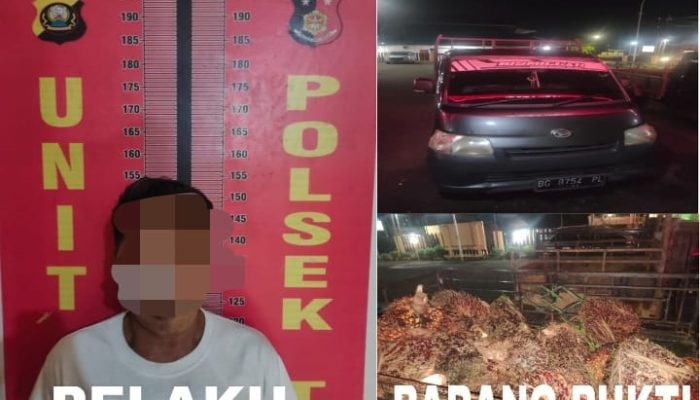 Polsek Talang Ubi Ungkap Kasus Pencurian Sawit, Satu Aktor Intelektual Diamanka