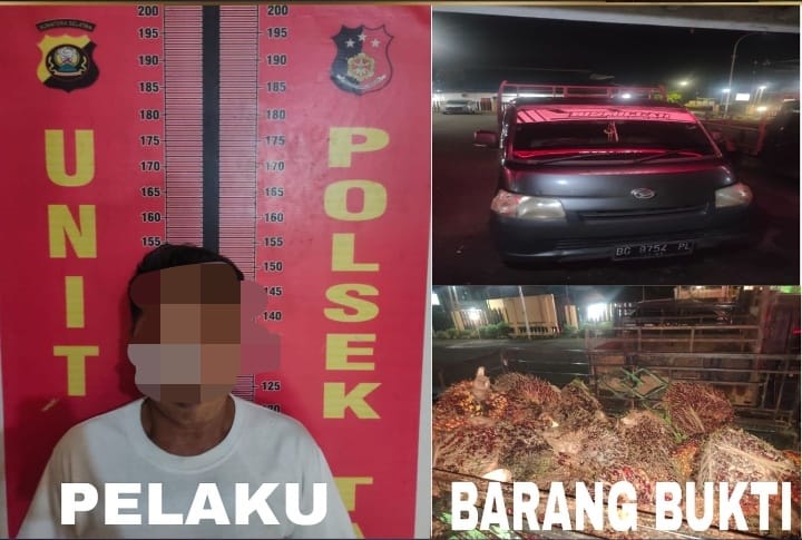 Polsek Talang Ubi Ungkap Kasus Pencurian Sawit, Satu Aktor Intelektual Diamanka