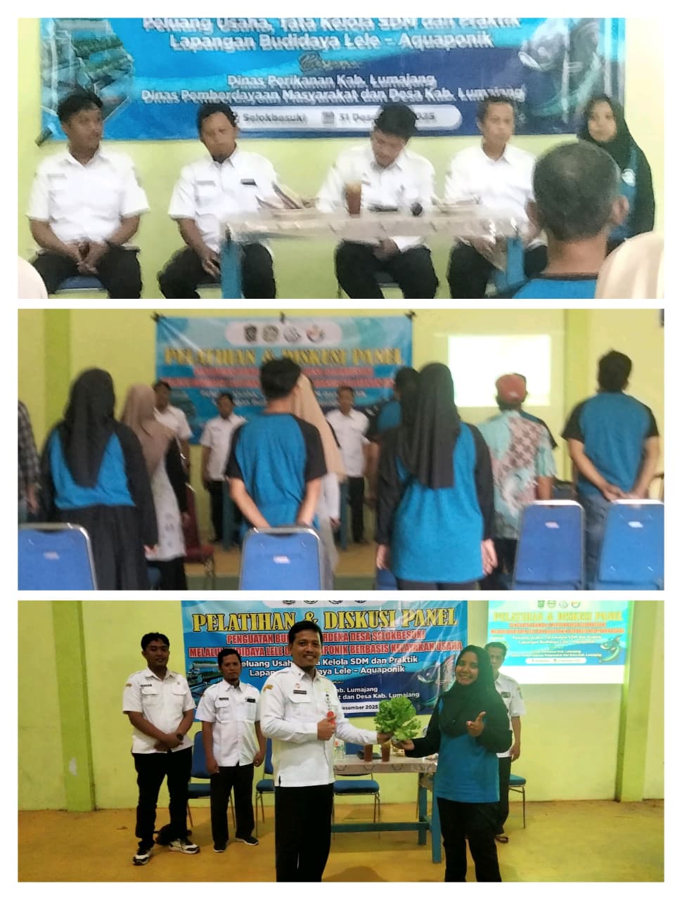 BUMDes Selokbesuki, Kembangkan Ketahanan Pangan Melalui Budidaya Lele dan Aquaponik