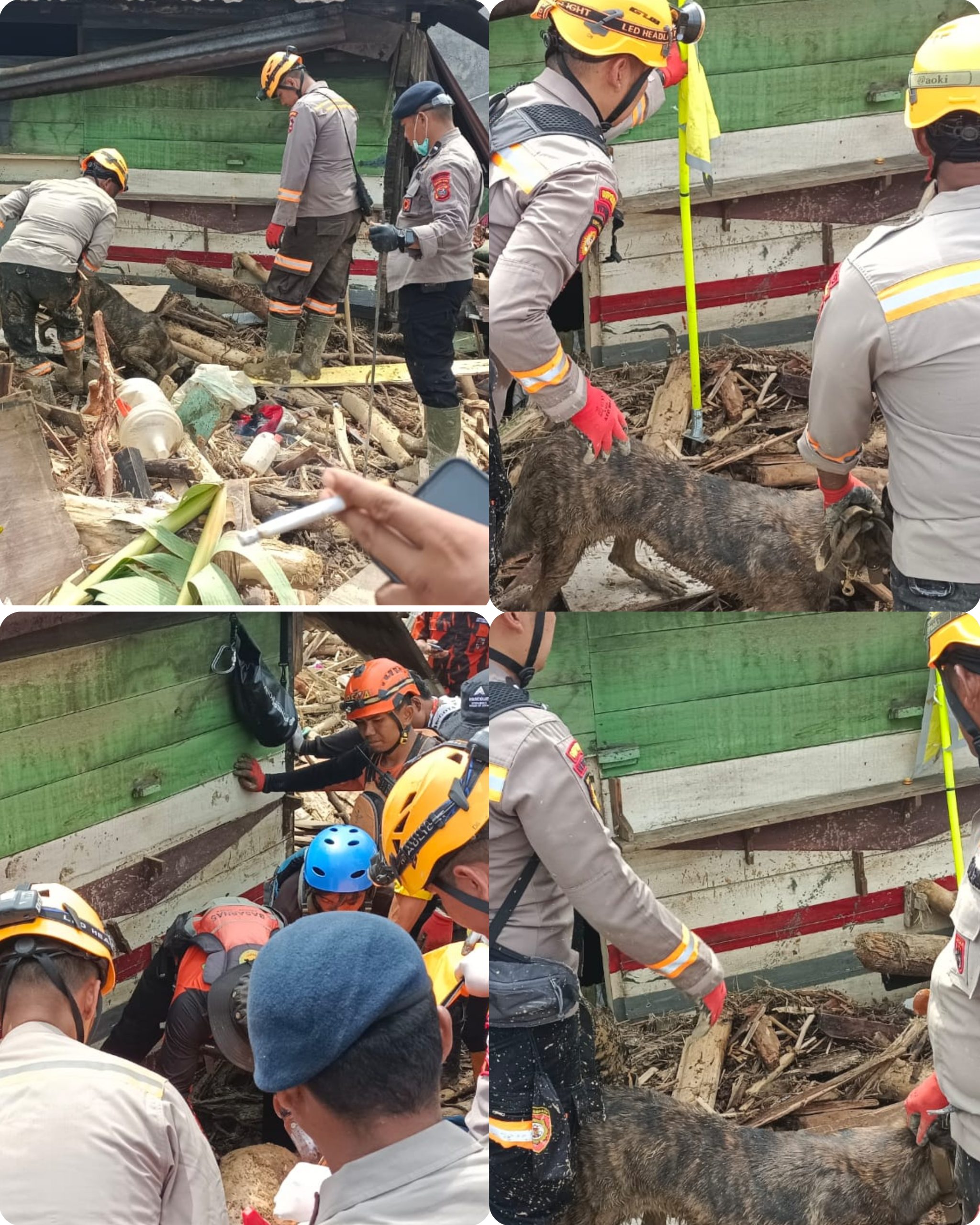Unit K-9 Polda Sumut Kembali Temukan Korban Banjir Bandang, Polri Tegaskan Pencarian Terus Dilakukan