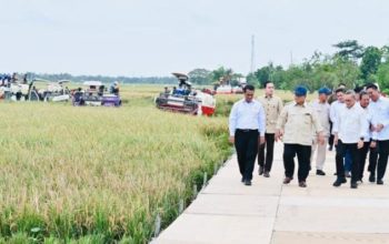 Panen Raya di Karawang, Presiden Prabowo Tinjau Hilirisasi dan Teknologi Pertanian Modern