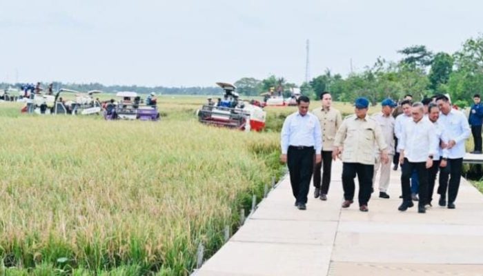 Panen Raya di Karawang, Presiden Prabowo Tinjau Hilirisasi dan Teknologi Pertanian Modern