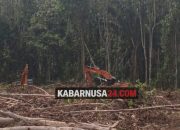 SK Bupati Diabaikan, Aktivitas Pembukaan Lahan PT FIA Terus Berjalan di Lumut Maju